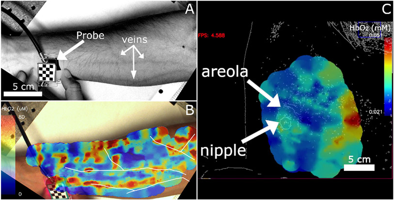 Fig. 8.