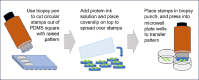 Image, graphical abstract