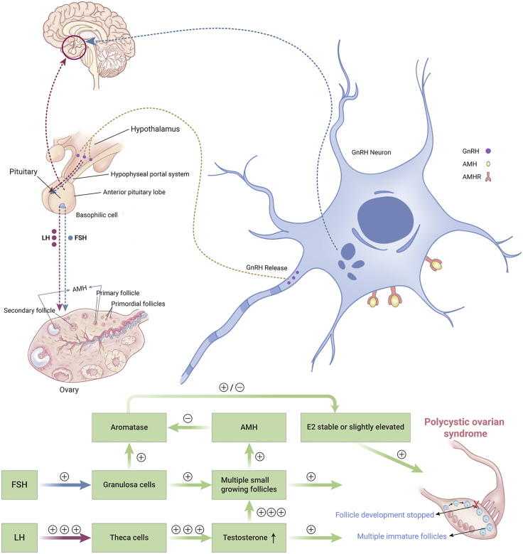 Figure 3