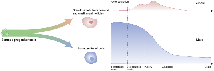 Figure 4