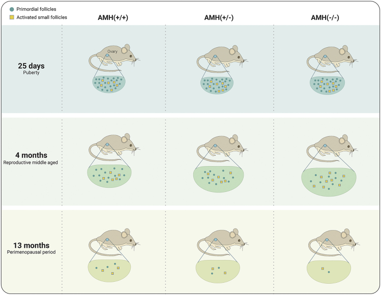 Figure 1