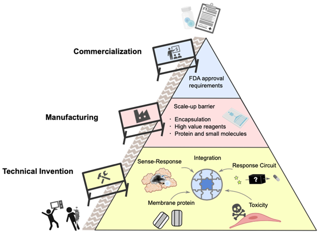 Figure 3: