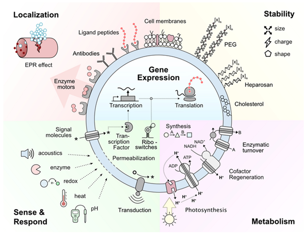 Figure 2: