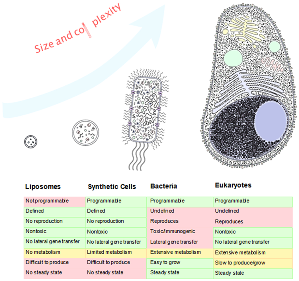 Figure 1: