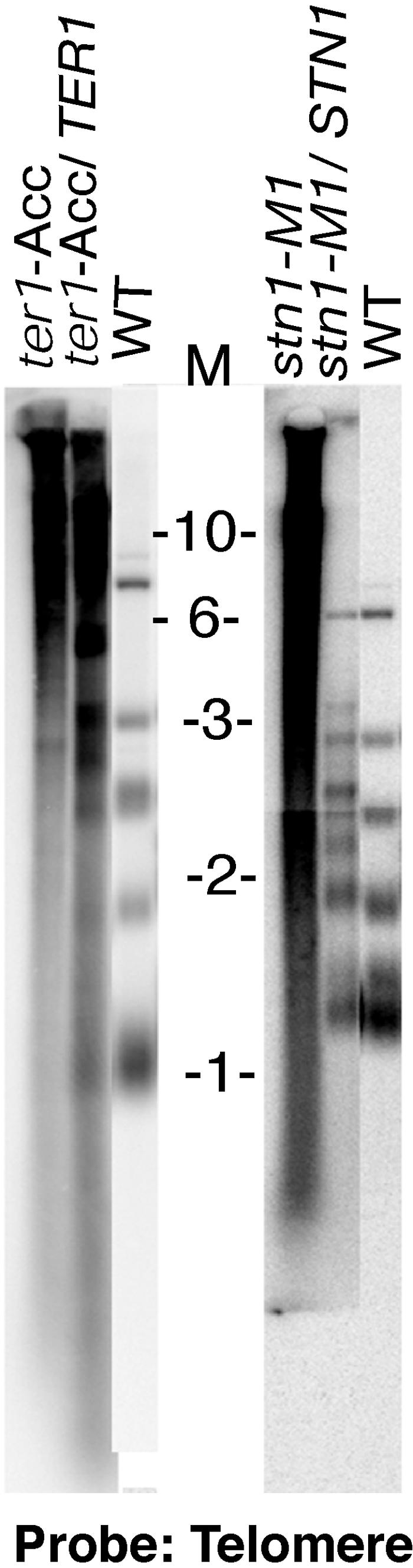 FIG. 5.