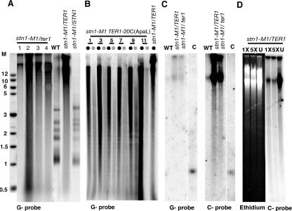 FIG. 6.