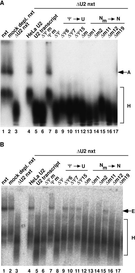 FIGURE 4.