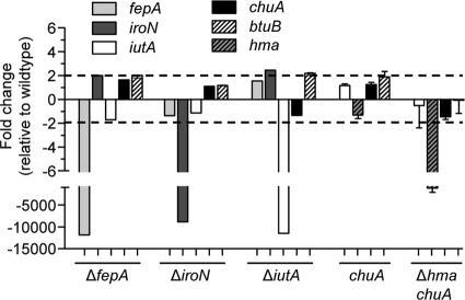 FIG. 1.