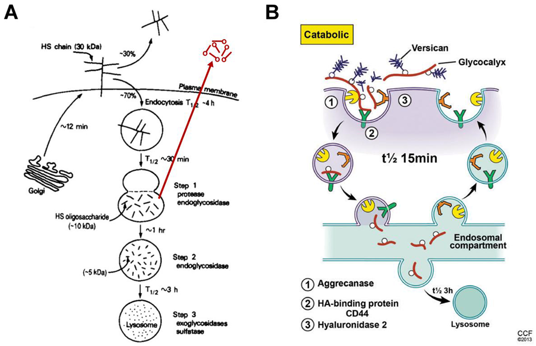 Figure 3 –