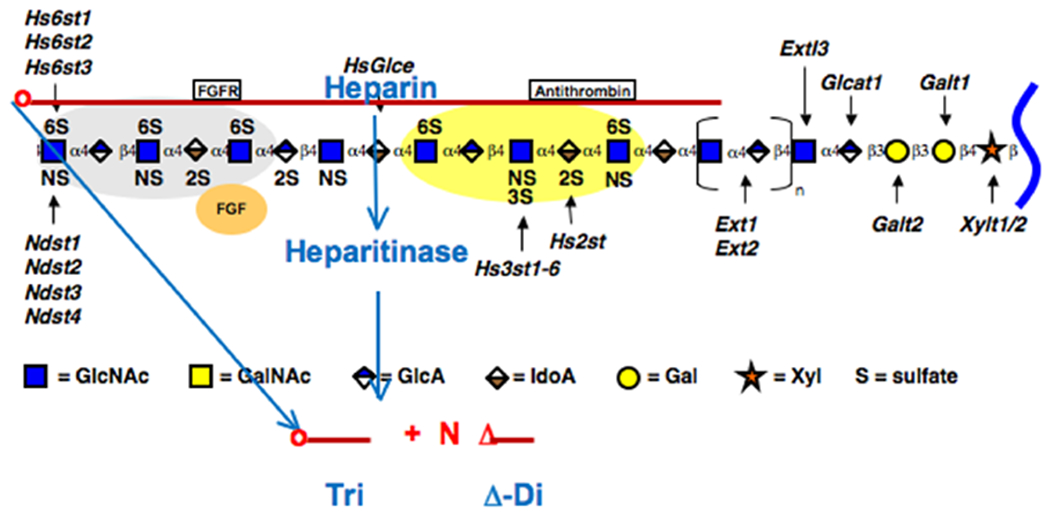 Figure 4 –