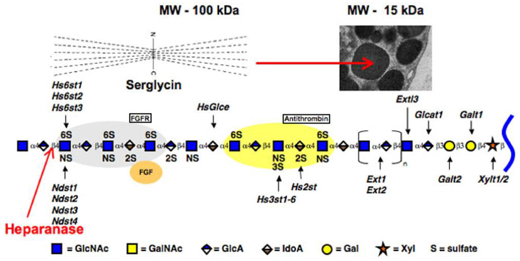 Figure 2 –