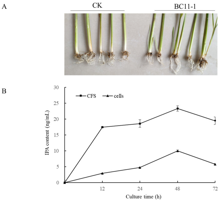 Figure 6