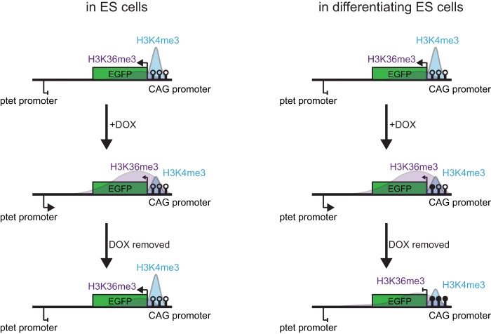 FIG 6