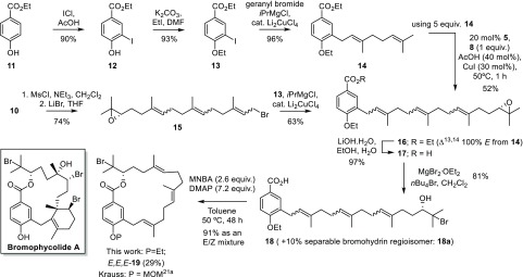 Scheme 3