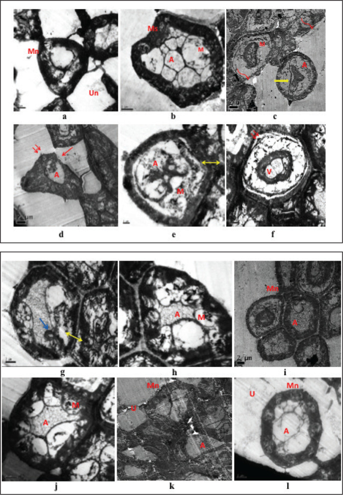 Figure 9.