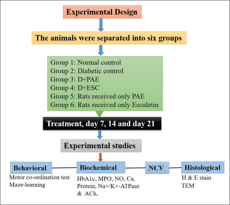 graphic file with name 10.1177_0972753120911840-fig1.jpg