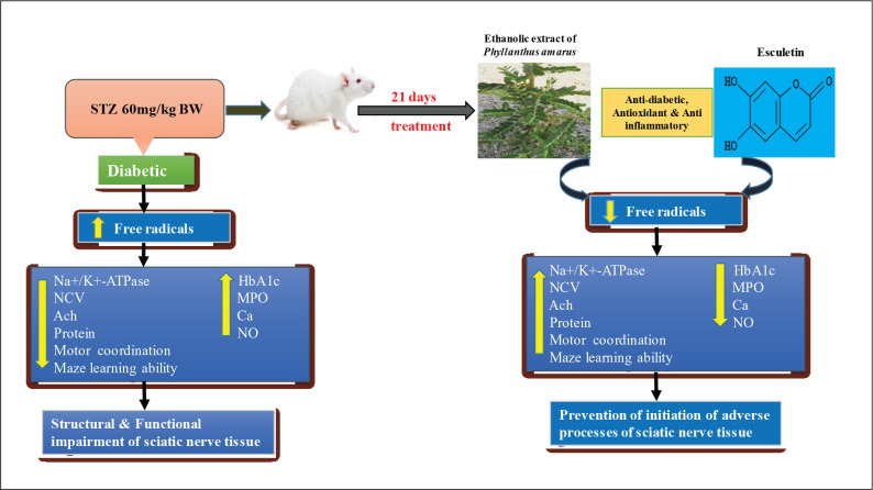 Figure 10.