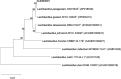 FIG 1