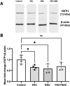 Fig. 13