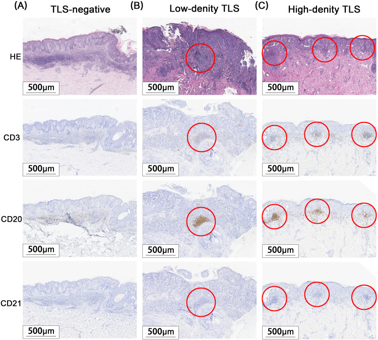 Figure 3