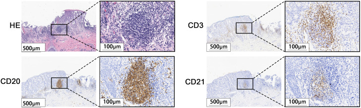 Figure 2