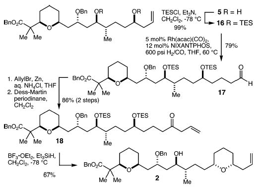 Scheme 4