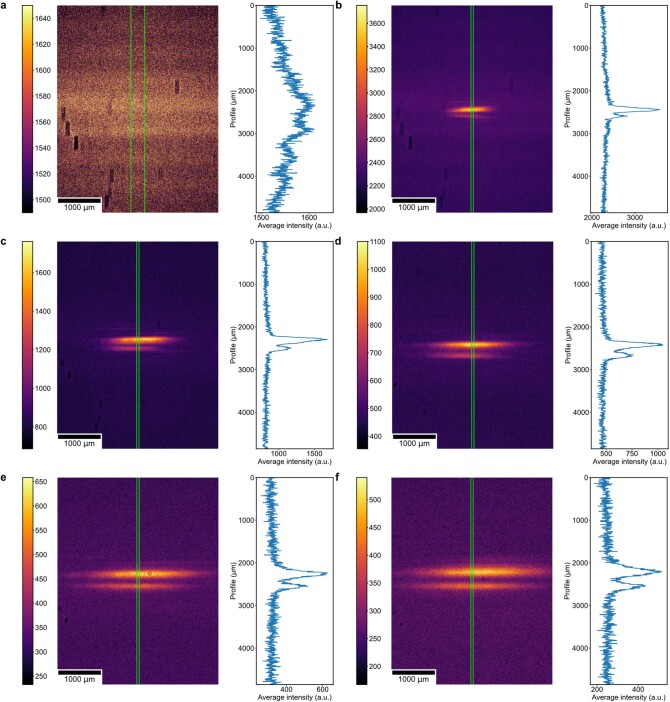 Extended Data Fig. 6