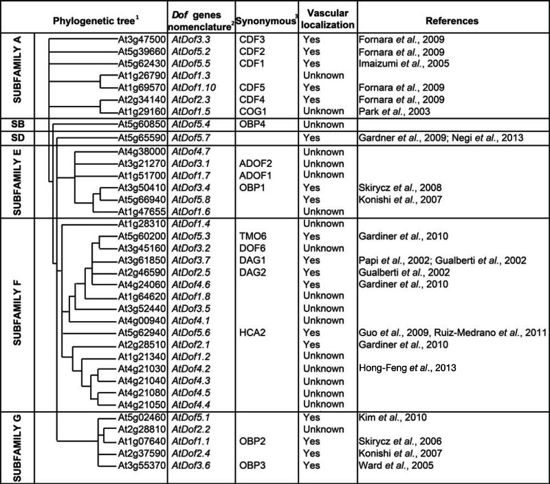 graphic file with name fpls-04-00164-i001.jpg