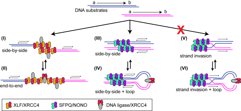 Figure 7.