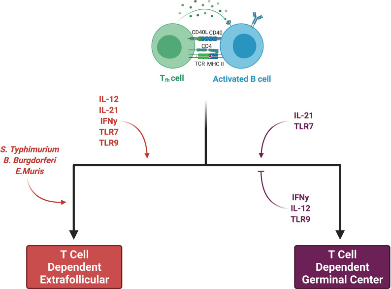 Figure 3