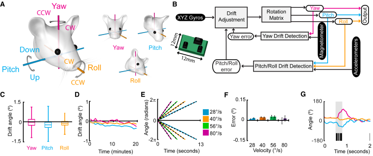 Figure 1