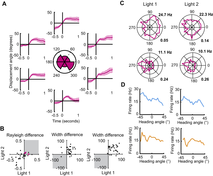 Figure 6