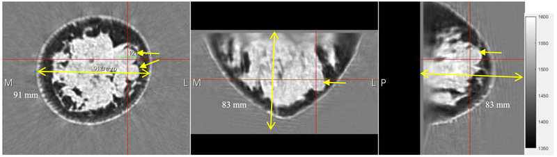 Fig. 10.