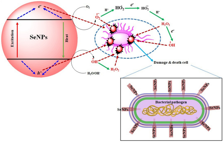 Figure 12