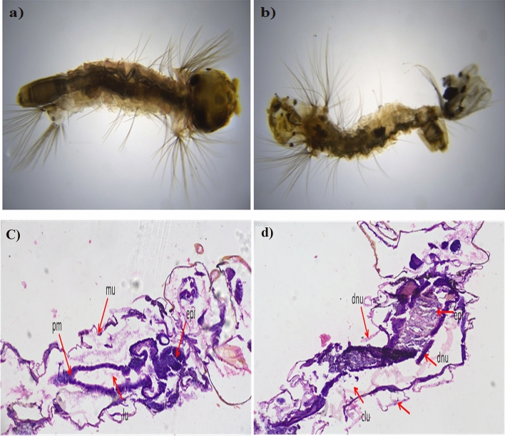 Figure 13