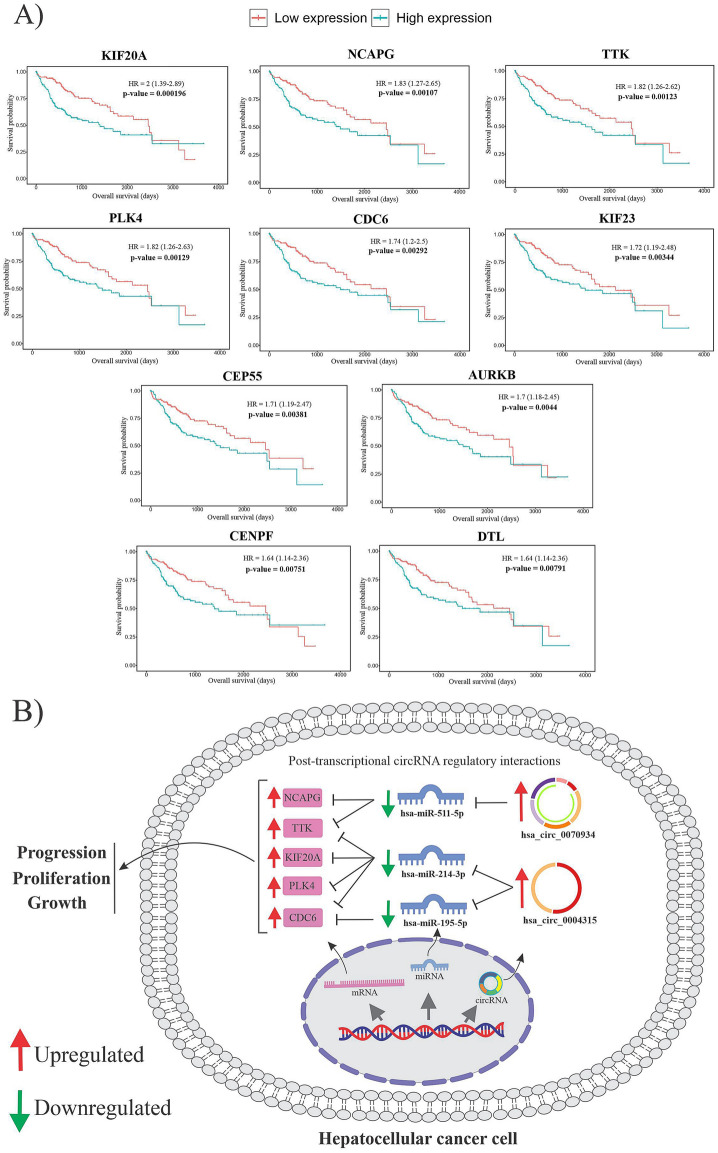 Figure 10