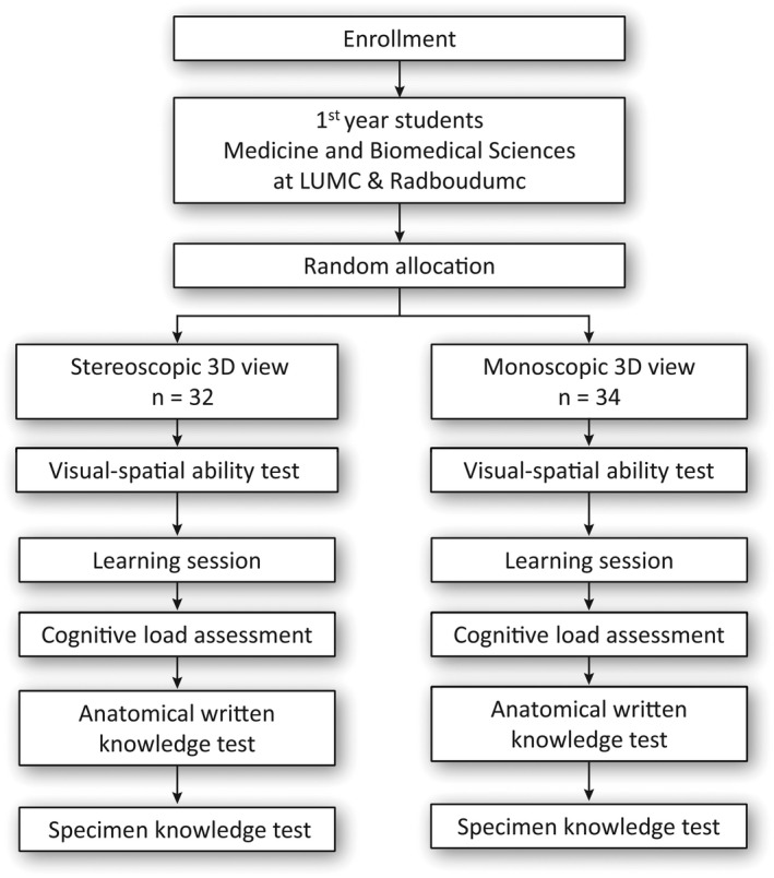 FIGURE 1