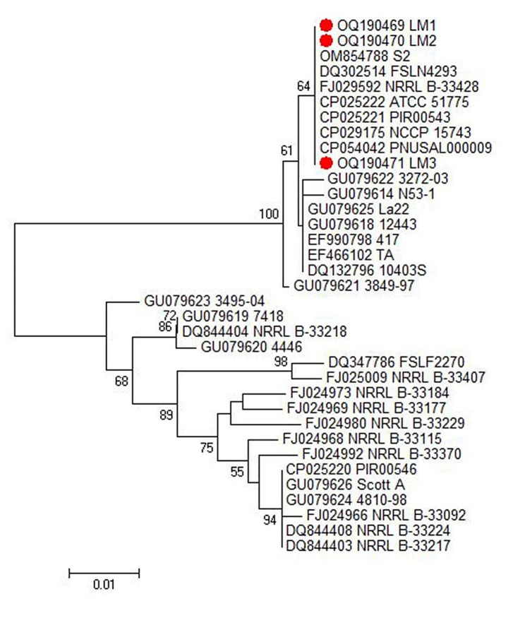 Fig. 3
