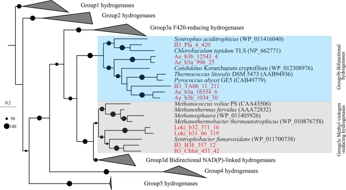 FIG 5