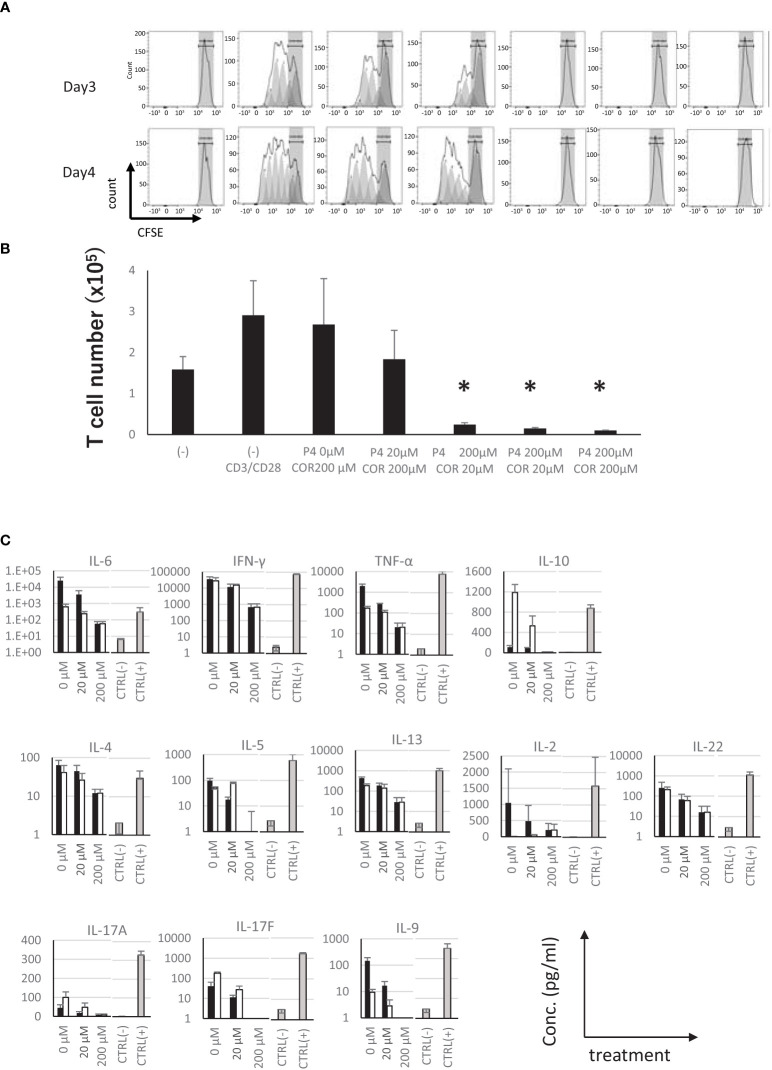 Figure 3