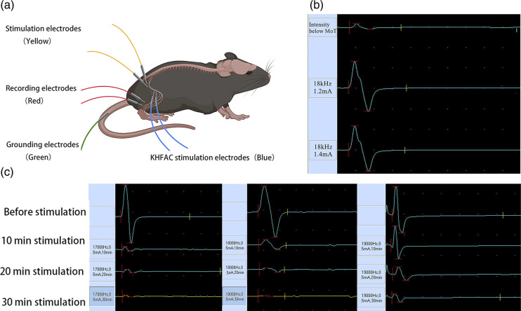 Figure 2.