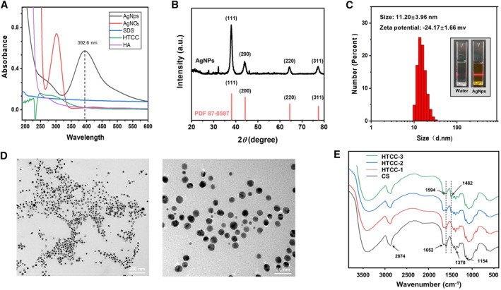 FIGURE 1