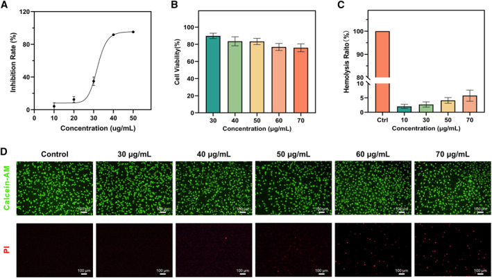 FIGURE 6