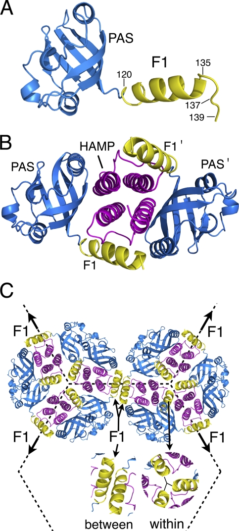 FIG. 6.