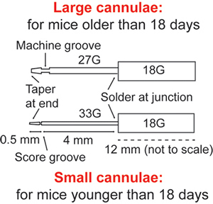 graphic file with name jove-60-3733-1.jpg