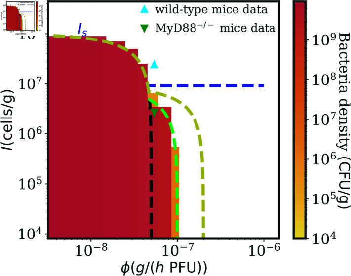 Fig 6