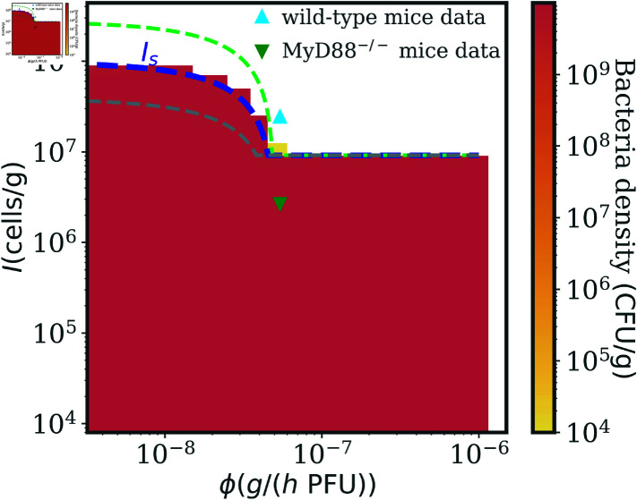 Fig 5