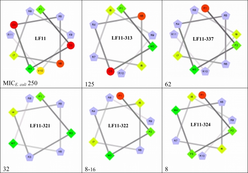 FIGURE 1.