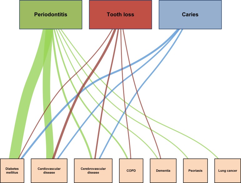 The figure illustrates the number of identified systematic reviews that investigated correlations between highly prevalent dental conditions and chronic diseases. Lines of varying width represent connections between the three dental diseases in the upper boxes (periodontitis, tooth loss and caries) and the chronic diseases in the 7 lower boxes (diabetes mellitus, cardiovascular disease, cerebrovascular disease, COPD, dementia, psoriasis, and lung cancer).