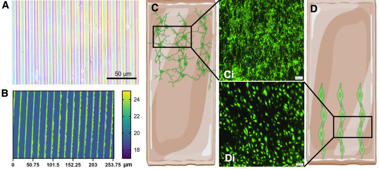 FIG. 4.